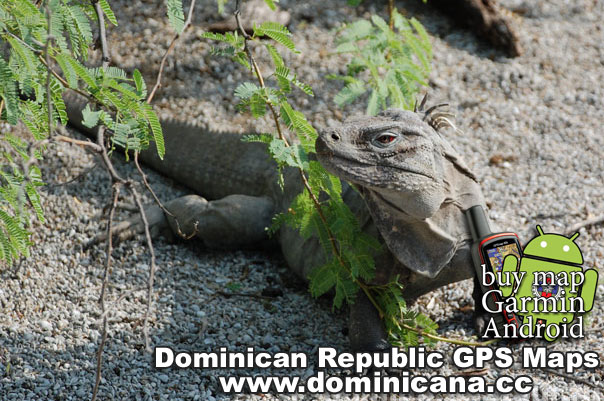 Our Garmin Dominican Republic maps will guide you to all interesting places in Dominican Republic