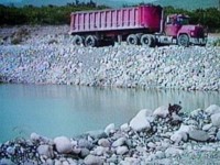 Pressure spurs Dominican Republic to halt aggregates, lumbering